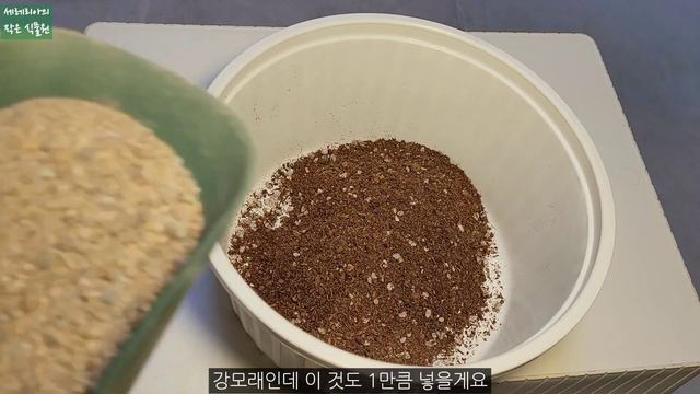 실생이란, 꽃삽 만들기, 화려한 게발 꽃이 만발하기 시작하고 있어요, Zygocactus truncatus, 어린 게발 분갈이와 키우기 смотреть онлайн