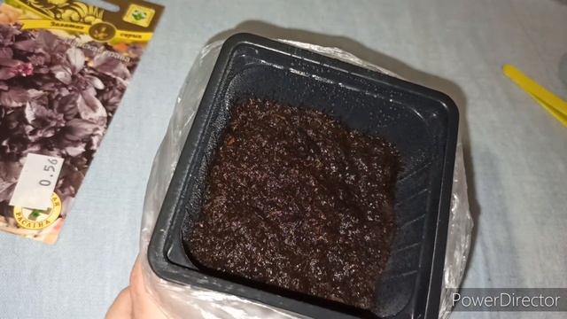 Посев базилика. Как посеять базилик быстро смотреть онлайн