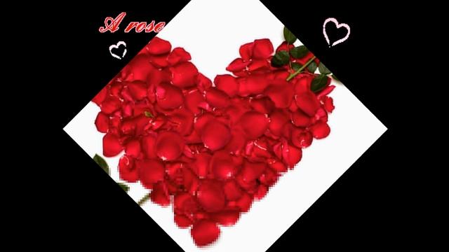 Happy Rose Day 2015 Wallpapers | Happy 2015 Rose Day смотреть онлайн