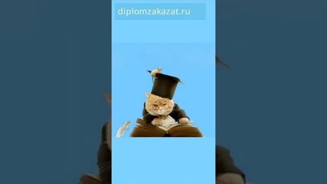 Заказать дипломную работу с гарантией смотреть онлайн