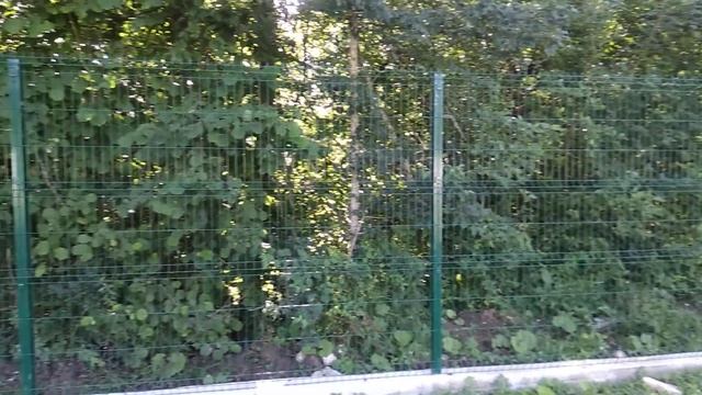 Забор. Проф.лист c8 смотреть онлайн