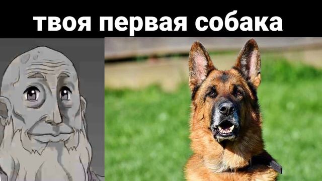 Твоя первая собака / стареющие лица