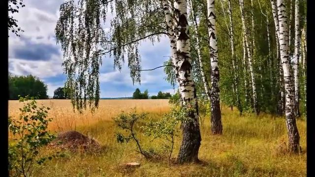 Даль великая - поёт и монтаж Антонина Киселёва-Васильева смотреть онлайн