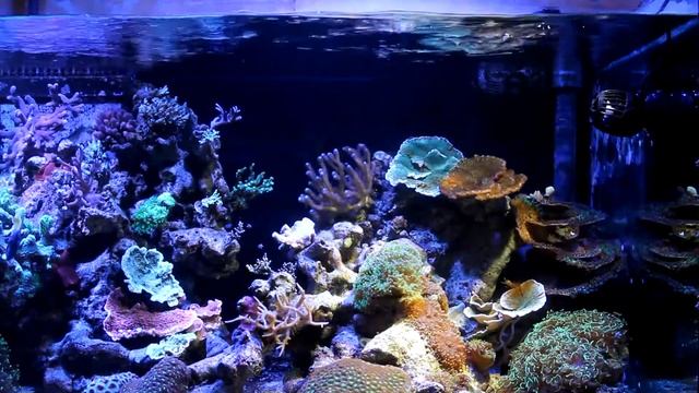 Обзор помпы течения Jebao RW-8