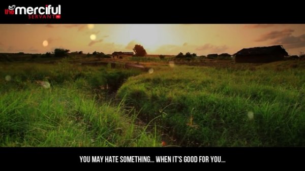 The Mercy of Your Lord (Allah) !