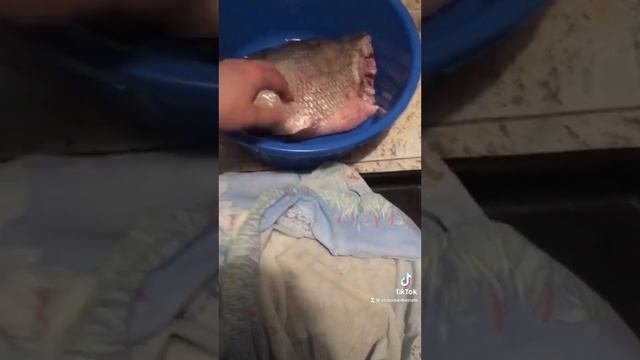 Балык из Леща. Сухой посол. смотреть онлайн