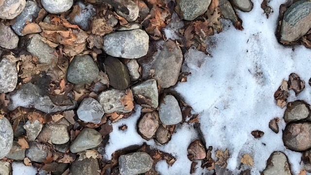 Vlog 1: Lost into woods смотреть онлайн