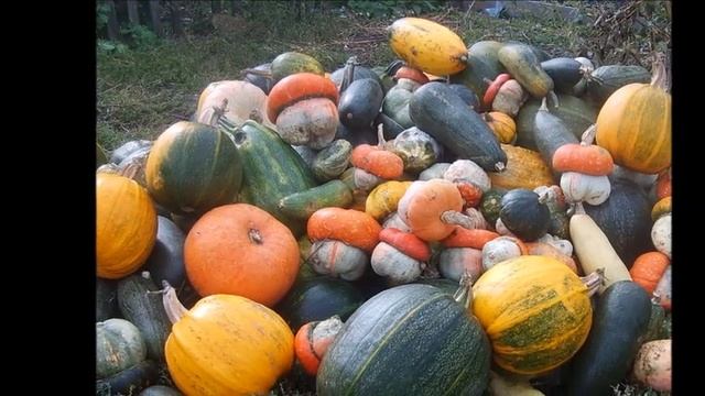 Песня "Родовое Поместье"-исполняет Алёнушка Ненаглядная смотреть онлайн