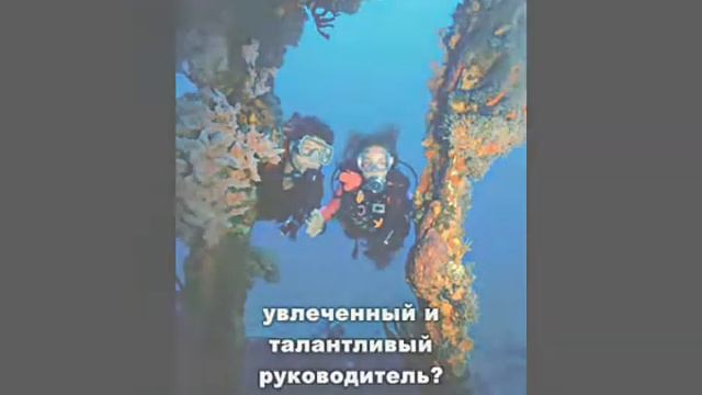 день шефа 17 октября PLASMAVISION.avi смотреть онлайн