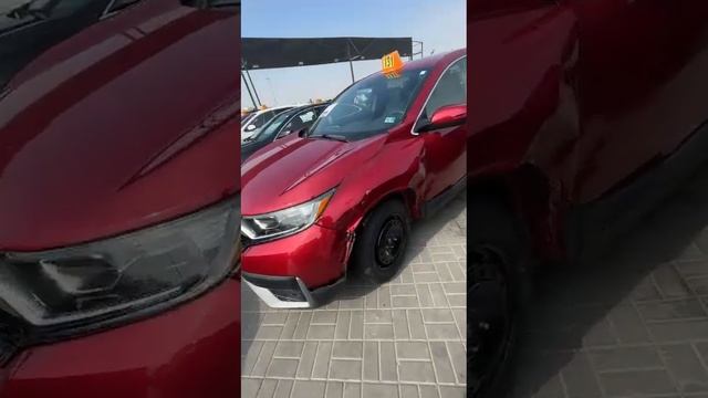 HONDA CR-V EX 2022г. Обьем 1.5 | 33.163миль. Примерно 14-15$ болот смотреть онлайн