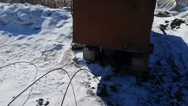 Королева Елизавета 2. Как мы укрываем клубнику весной плёнкой. смотреть онлайн
