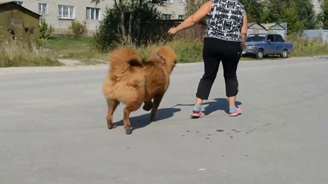 DSC 0958 смотреть онлайн
