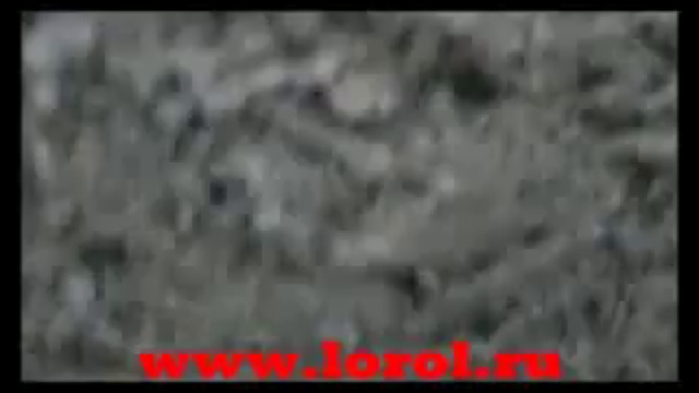 строим дом. всеволожск. смотреть онлайн