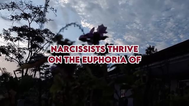 This Is What Narcissists Fear Most About Your Silence |NPD| narcissist Exposed смотреть онлайн