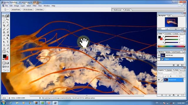 how to use Hand tool in adobe photoshop basic pushto tutorial in pashoto Part 4 смотреть онлайн