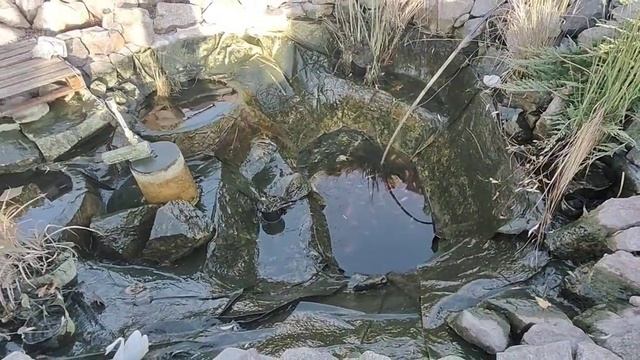 Про водойму і рибок. Вже вони у нового хазяїна ? смотреть онлайн