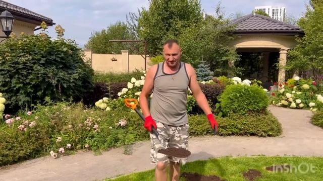 Подарки…Кормление…Блогер…Маэстро в деле…Фруктовые деревья… смотреть онлайн