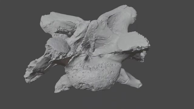 3D-модель позвонка тенгризавра, 3D-model of a Tengrisaurus vertebra смотреть онлайн