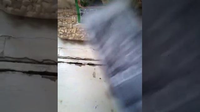 Мои телефоны из картона смотреть онлайн