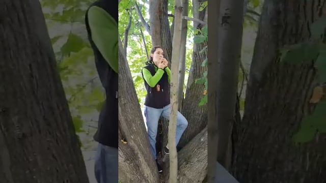 Варган и дерево смотреть онлайн