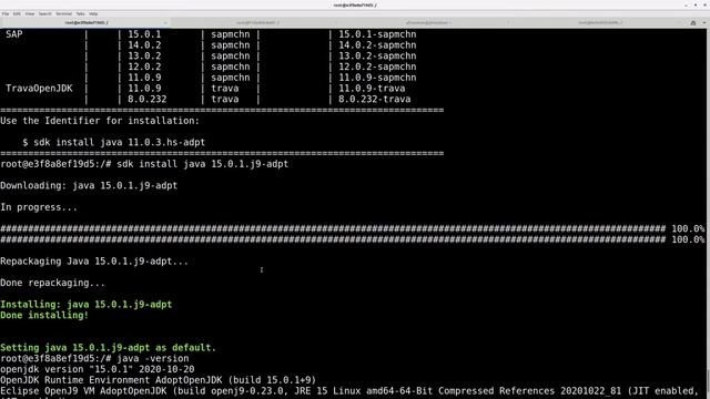 Java.1.1 - ¿Cómo instalar Java? смотреть онлайн