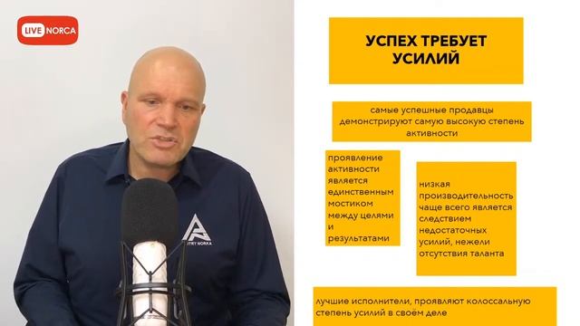 Как найти идеального продавца. Прямой эфир Дмитрия Норка смотреть онлайн