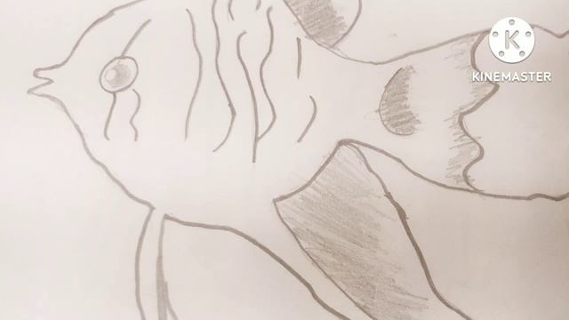 Sketch #34 смотреть онлайн