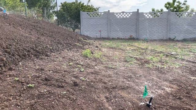 Полив газона