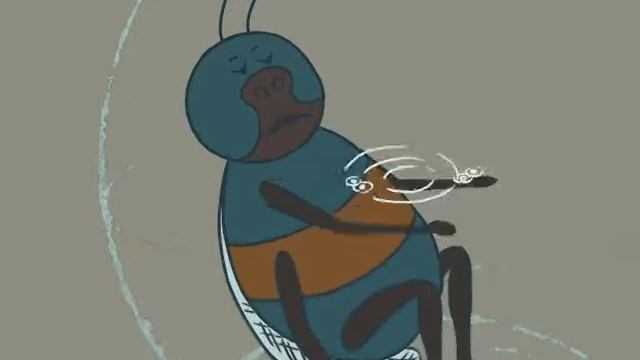 Tolstaya Muha 02.avi