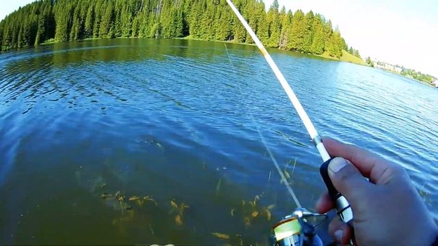 Рыбалка на небольшом водоёме в Пермском Крае на УЛЬТРАЛАЙТ #спиннинг #пермь #рыбалка в перми смотреть онлайн