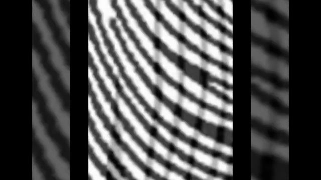 Отпечатки пальцев определяют твои особенности три вида отпечатков