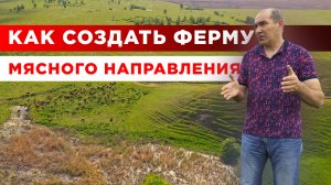 Экономика фермы | Как стать фермером с нуля | Мясное животноводство
