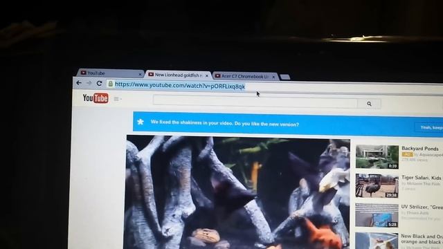 How to Right click copy and paste with Chromebook tutorial смотреть онлайн