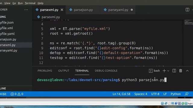 3.6.6 Lab - Parse Different Data Types with Python смотреть онлайн