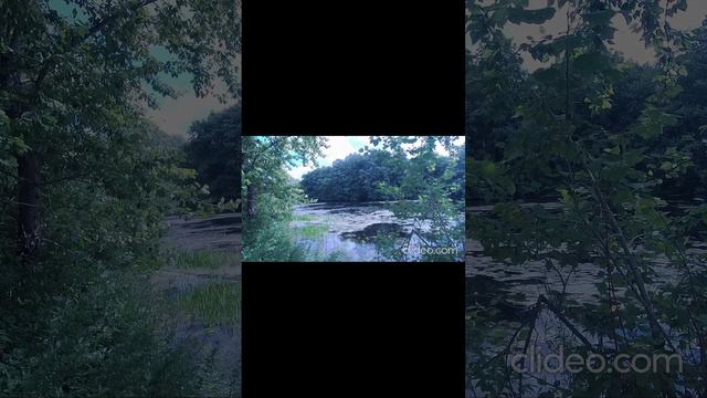 Река в глуши.  Деревня.