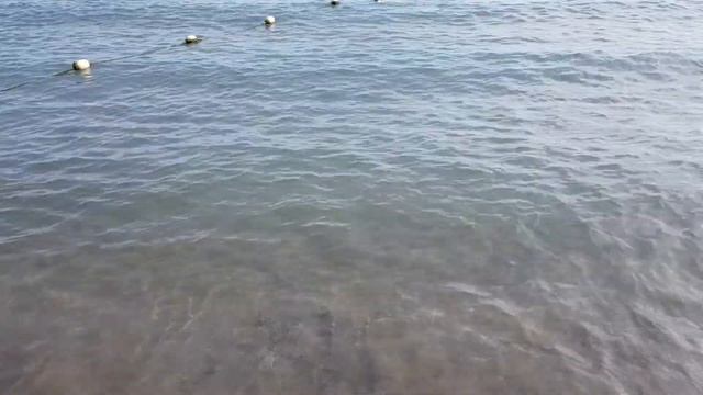 Песчаный пляж в Ницце возле Аэропорта смотреть онлайн