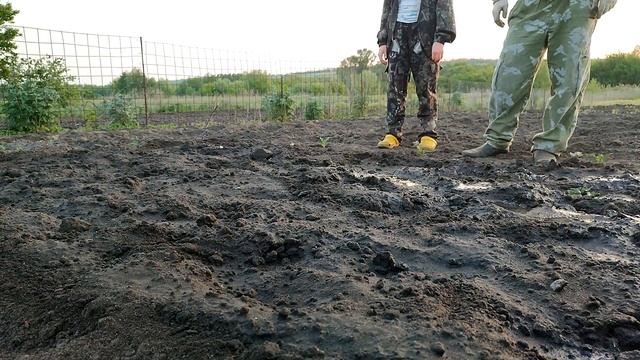 ИЗ ГОРОДА В ДЕРЕВНЮ. ДОСТАЛИ БАССЕЙН. МЕДВЕДКА ЗАМУЧИЛА. ДЕЛА ОГОРОДНЫЕ. КЛУБНИКУ БОЛЬШЕ НЕ ЕДЯТ. смотреть онлайн