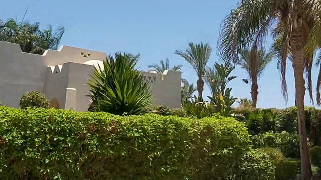 Domina Coral Bay 5* Египет, июль 2023г. смотреть онлайн