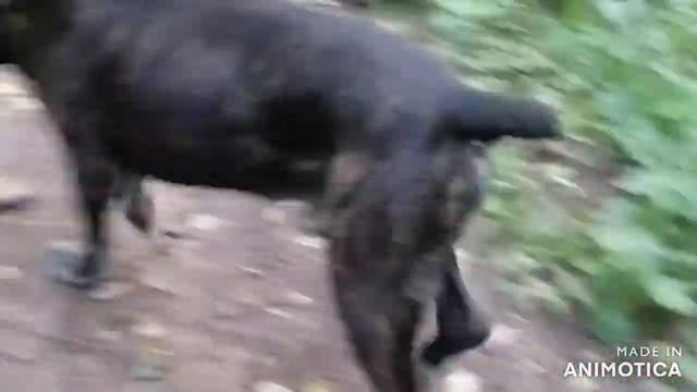 *Hello to everyone! * Всем привет!* смотреть онлайн