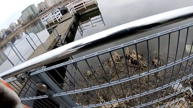 Ładny Jazik i Okonki na rozpoczęcie sezonu смотреть онлайн