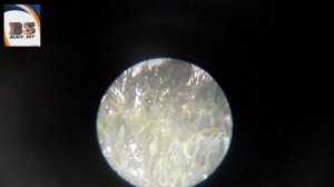 F30070M telescope 150x zoom test PART #1