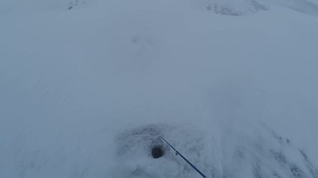 Ловля судака на раттлин смотреть онлайн