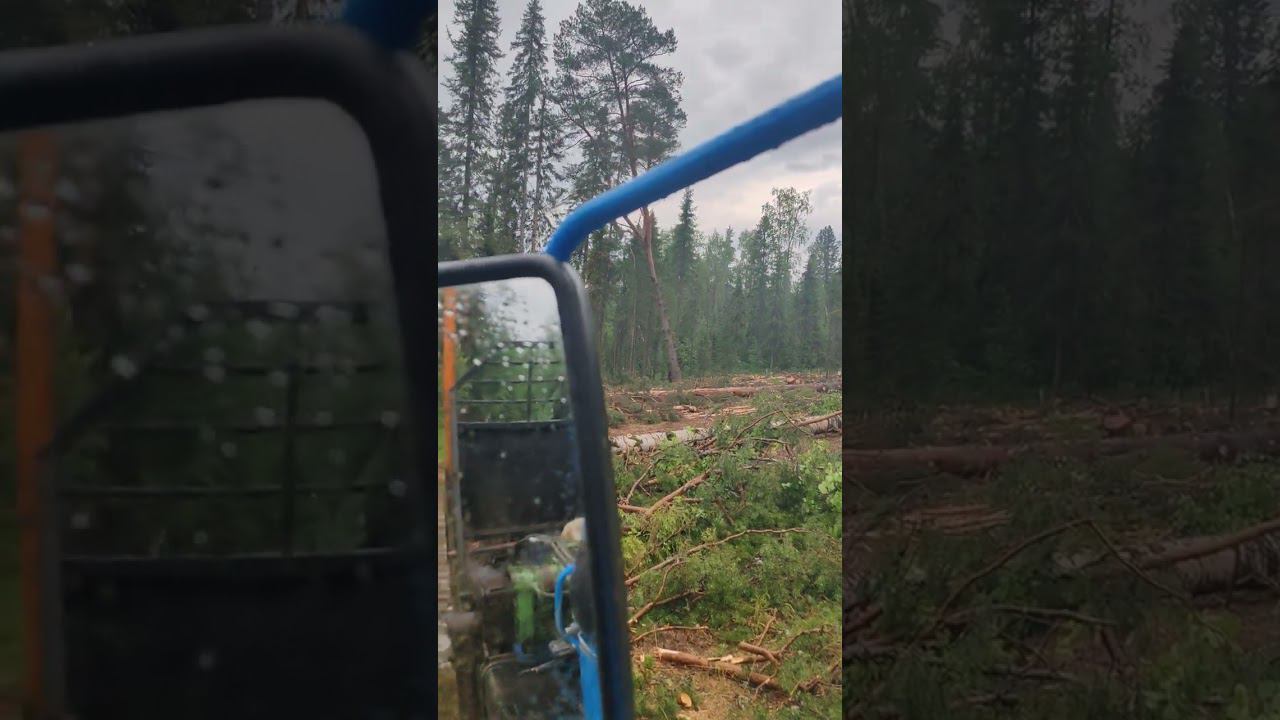 Валка леса(2) смотреть онлайн