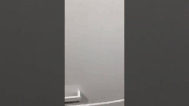 Холодильник Miele KFN1292350 смотреть онлайн