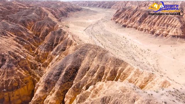 Почему Все Бегут с Этой Планеты?! Признание Просветленного! l НИКОШО И Роберт Адамс смотреть онлайн