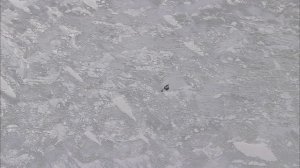 BBC: Планета Земля 6 серия «Ледяные миры» (сериал, 2006)