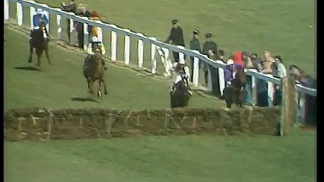 Alan Partridge - Horse racing commentary. смотреть онлайн