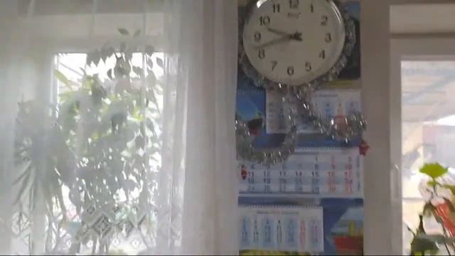 Радостные репортажи