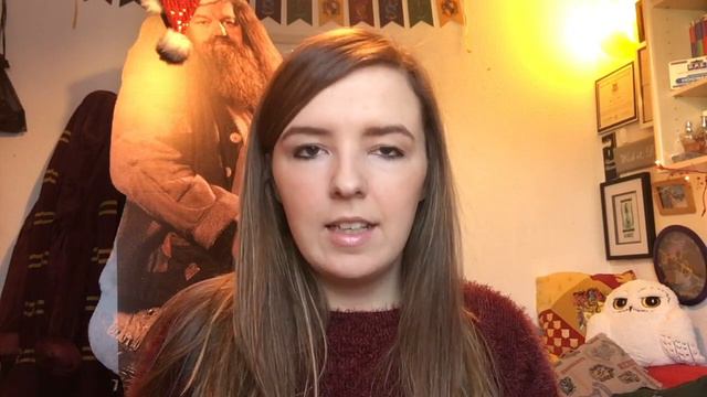Huge Harry Potter Christmas Haul смотреть онлайн