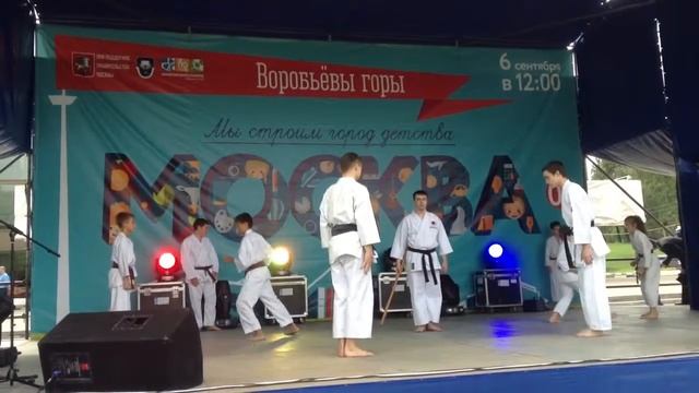 Карате во Дворце пионеров на дне города смотреть онлайн